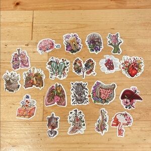Colorful Anatomical Stickers